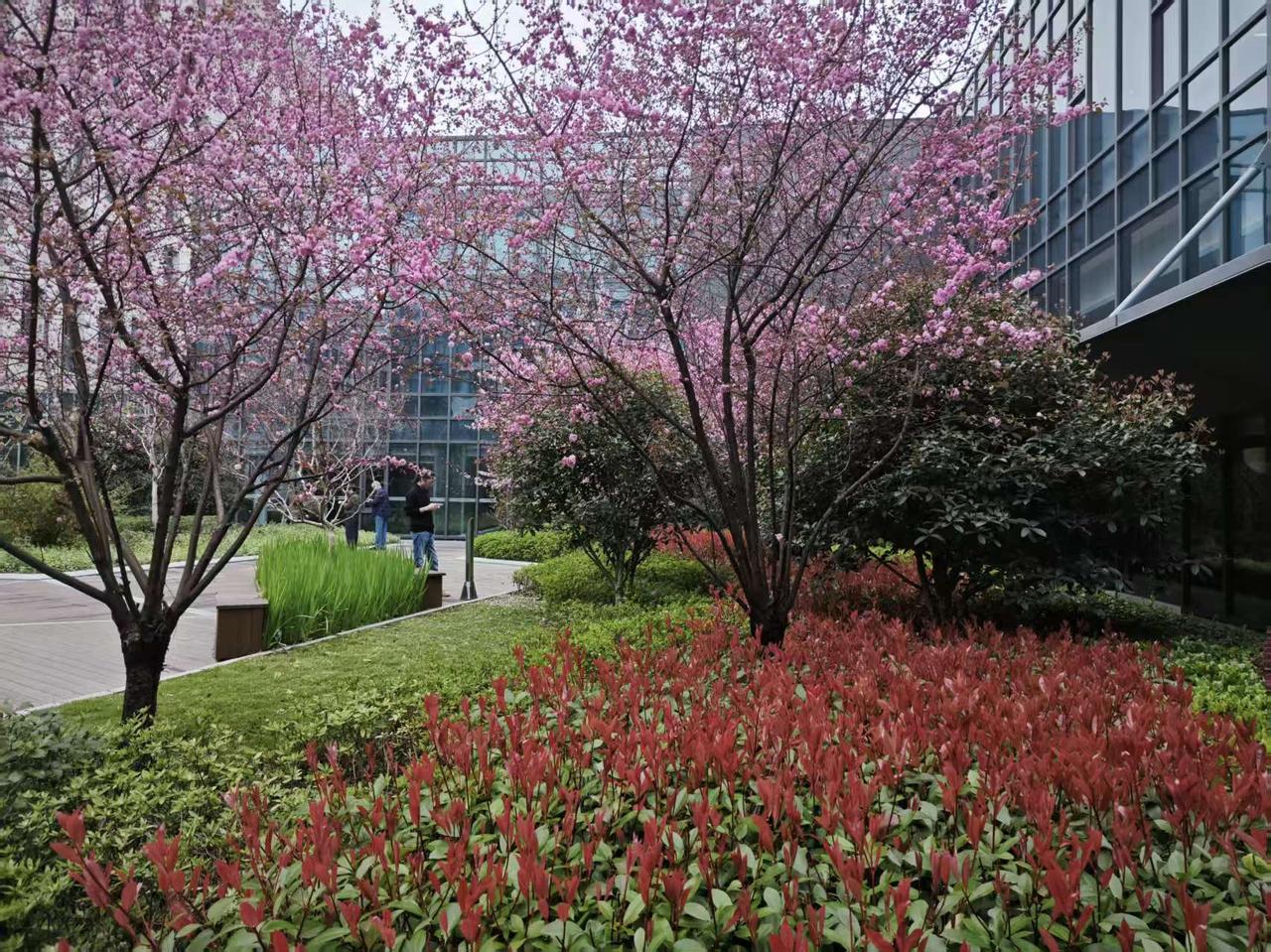 1、一个人骂了你一句，你记了两天，他就骂了你两天；你若是记了一年，那么他就骂了