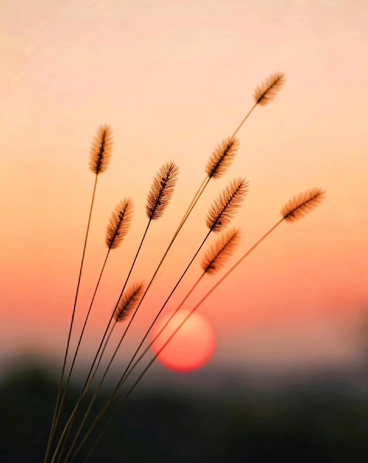 太扎心了！很多踏实、专一、有责任心的好男人，不撩骚、不套路、真心待人，却总是单