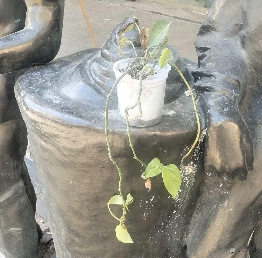 荒野求生挺真是的。在决赛前的环节，检查还挺严格的。老中医不就给检查出来鞋垫里面