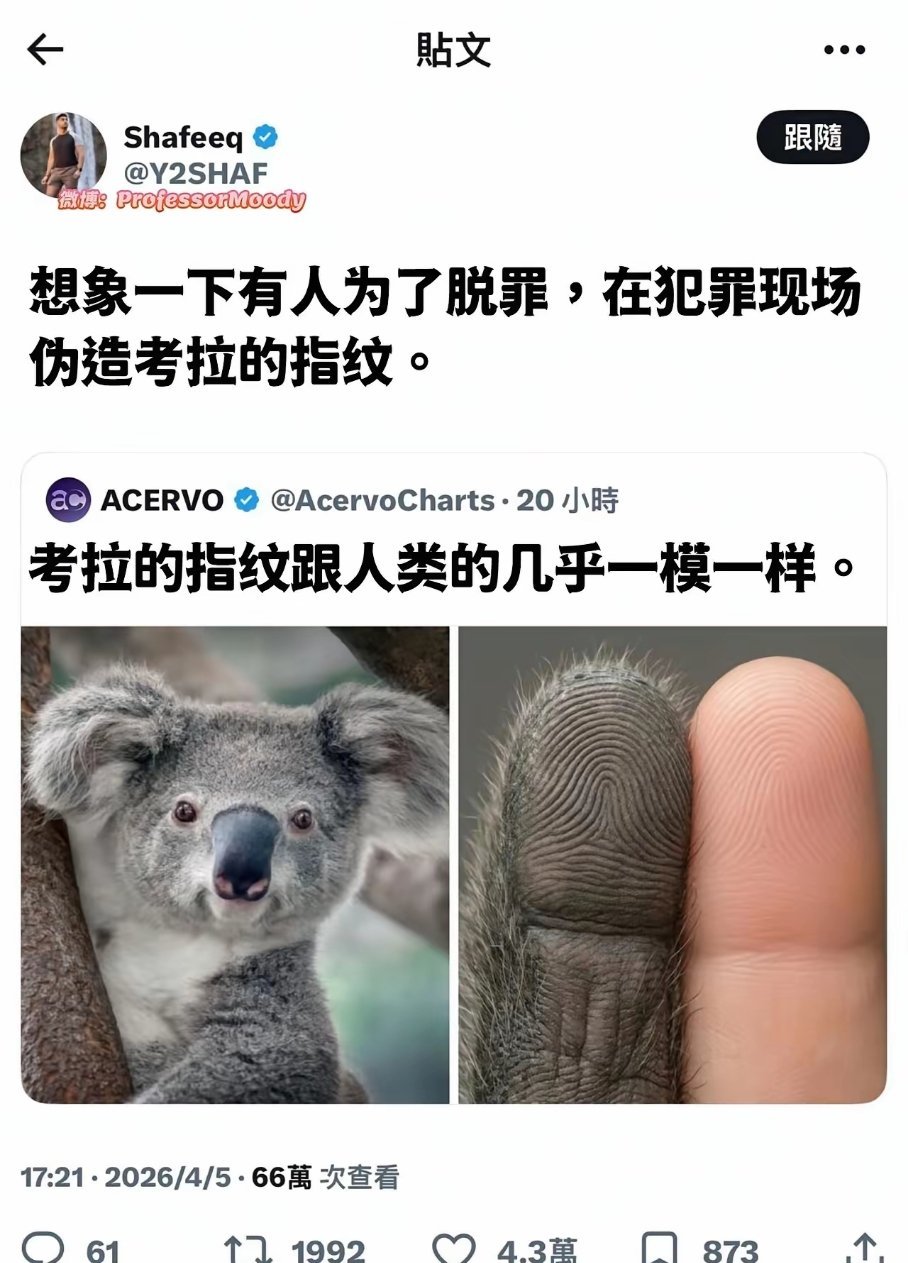 很想知道考拉手上有没有斗