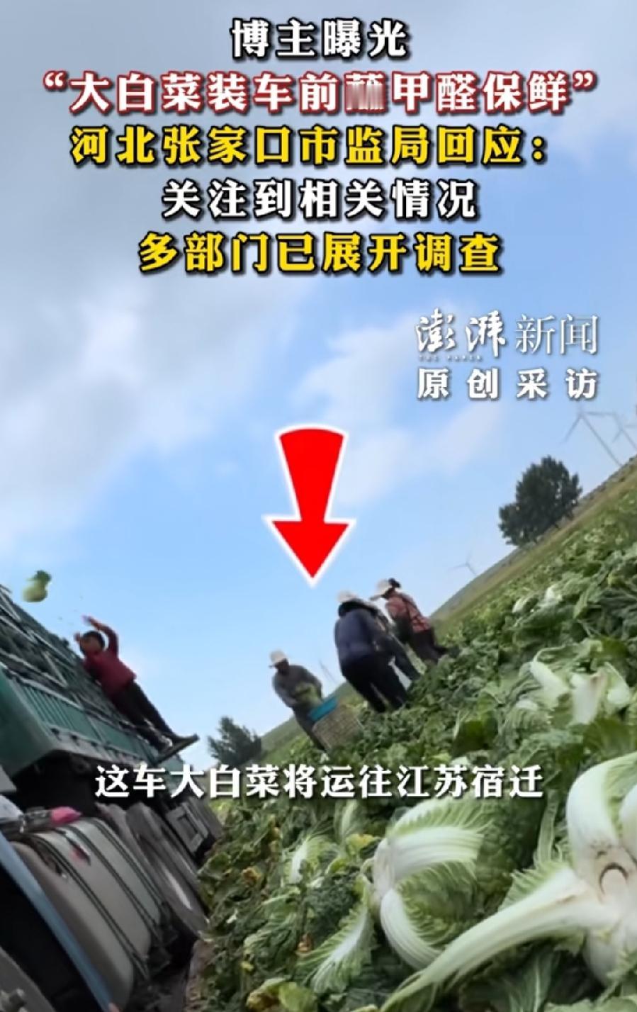 白菜蘸甲醛水，有一说一，实际对健康危害，并没有多严重，起码不像大家想象的那么可怕