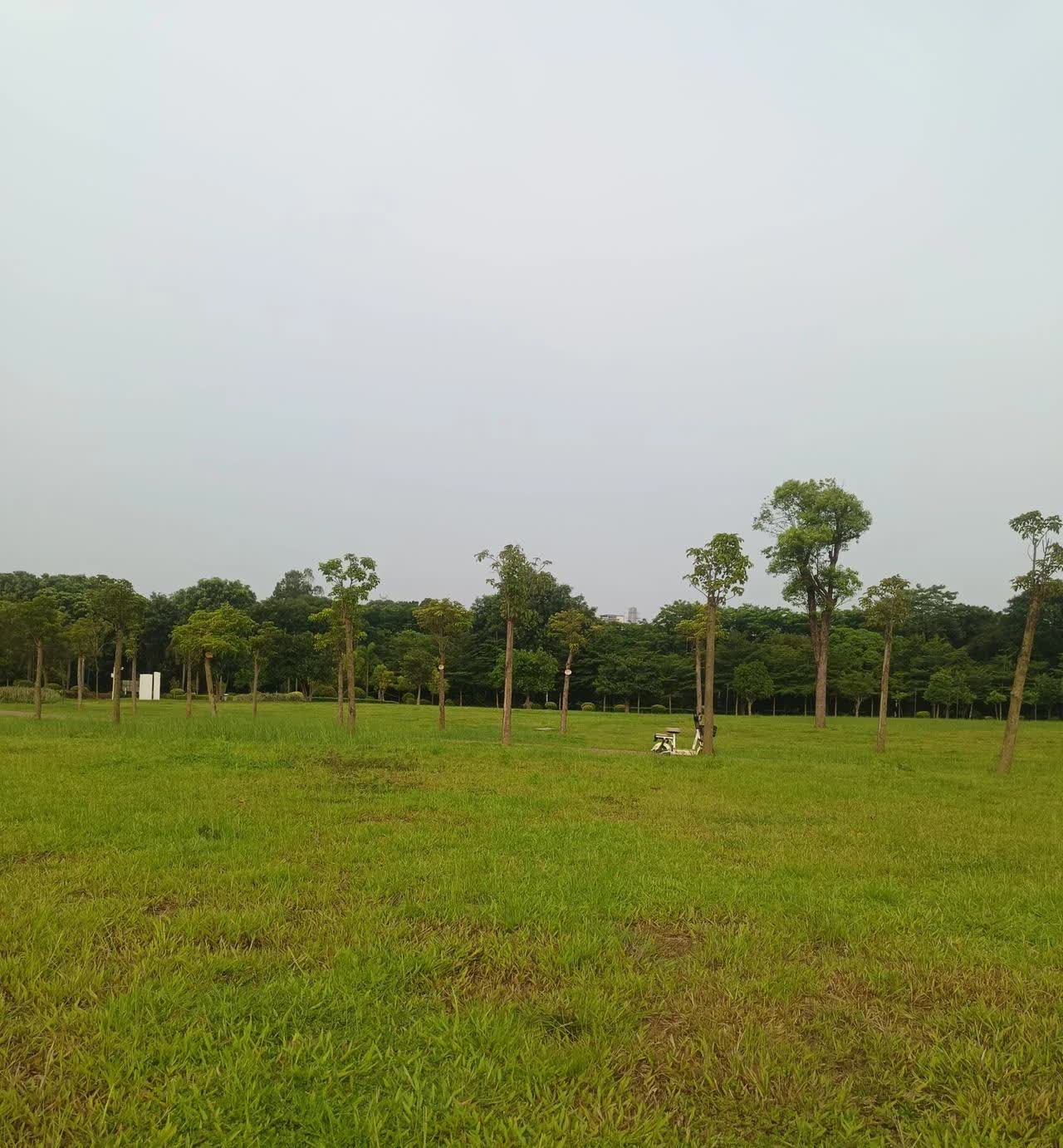 河南郑州女子和丈夫吵架赌气回了娘家，三天后公公病重住院，丈夫急忙打电话通知她回来