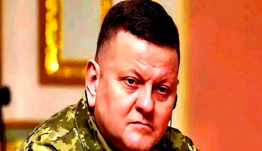 扎卢日内道出了真实情况！此前被泽连斯基解除军内职务，送到英国担任大使的前乌克