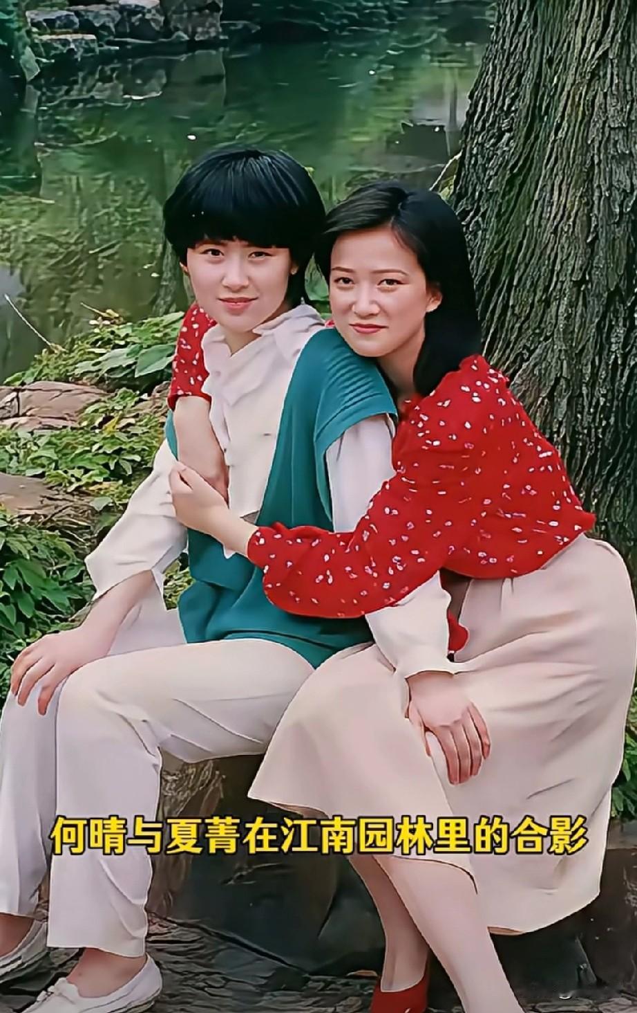 何晴这装搭配真好看！清新靓丽，惋惜她的早逝，可惜了天妒红颜！图为80年代