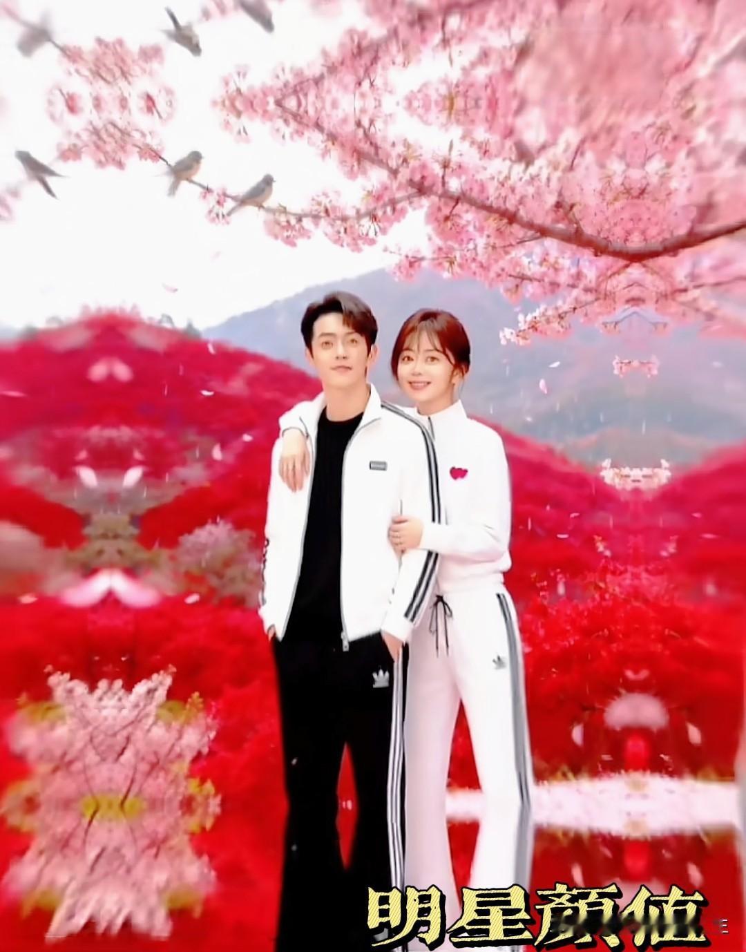 许凯谭松韵的这组照片甜到掉牙！画面绝美，氛围感直接拉满，爱你们哟！分享今日随手拍