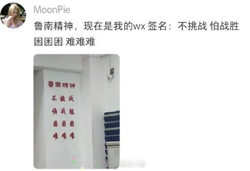 一些扮猪吃饲料的文案