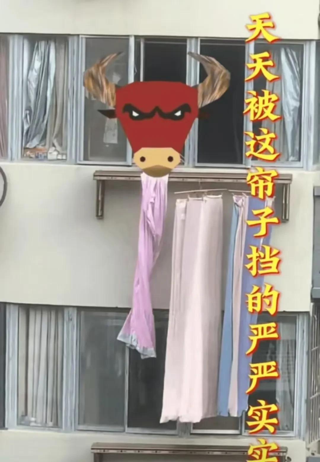 网友各个都是人才！女子吐槽楼上邻居只要晴天就把床单垂下来晒，把她家的光线都挡住了