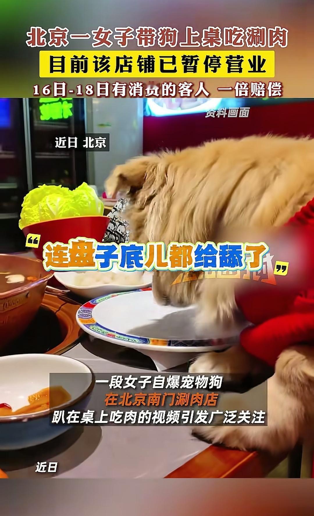 无语了！北京，一女子带狗去吃涮肉，她点了一盘羊肉卷，哪料服务员端上来过后，狗就迫