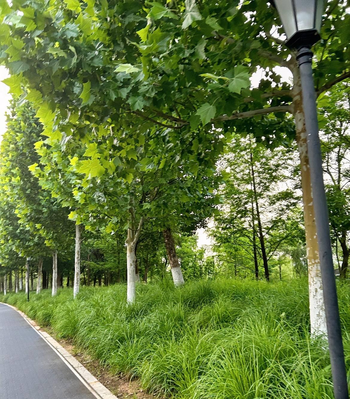 小时候跑800米，全班女生一起跑。我跟关系好的几个小姐妹在跑步前聊天，她们都说不