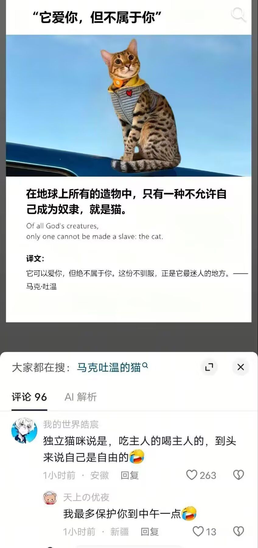 二十多年前的猫不是这样，我的第一只猫可喜欢我了，可惜我们缘分太浅，我连它的照片都