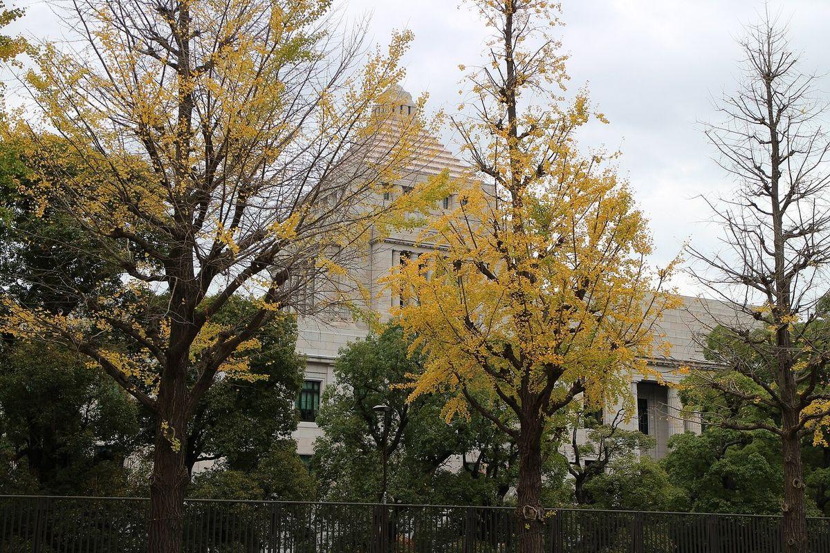 高市早苗再次当众谈到中国，释放积极信号？法新社报道，日本首相高市早苗10月5日在