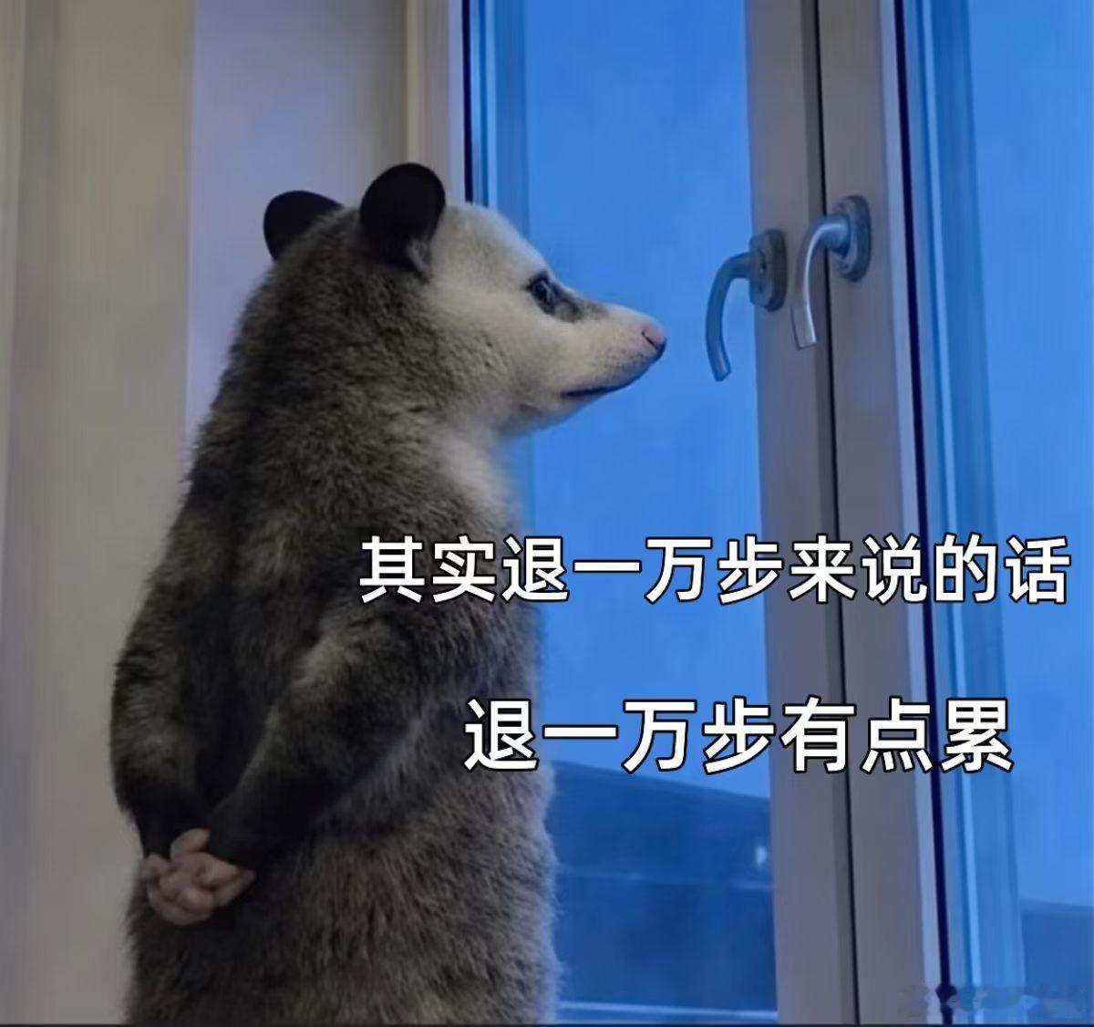 其实不想上班根本不需要辞职每天早晨先是想辞职，然后想请假，认真想想我是真的需要工