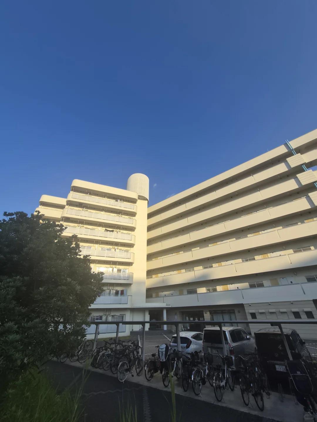 上海长大的孩子最大的优点就是自洽、从容、自信。我公司有个外地的90后男生，