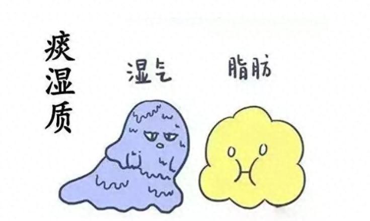 二陈平胃散，祛湿强过参苓白术散，化痰强过六君子丸，化一身痰湿作品声明：个人观点