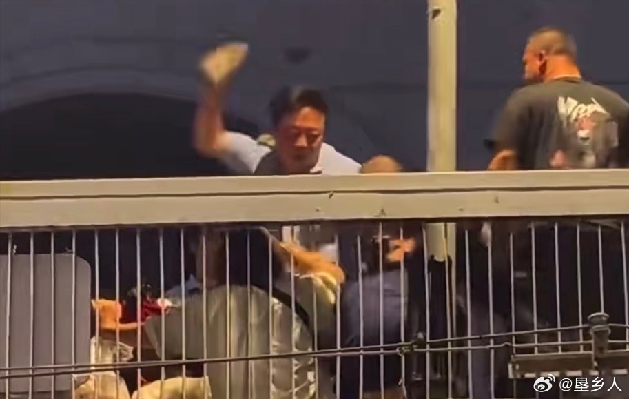 武汉通报天桥打人事件公共场所使用砖头多次击打他人头部，该行为手段危险性极高，头部