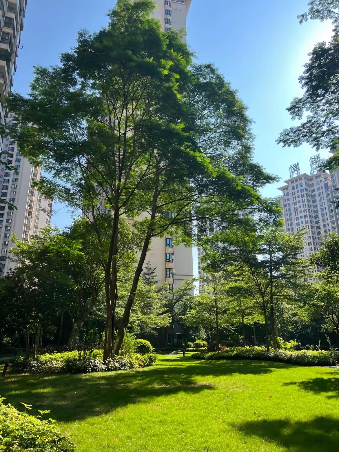 今天我把房子卖了。​卖了多少呢。当年我挂109万。有人出90万，我没卖，觉得低了