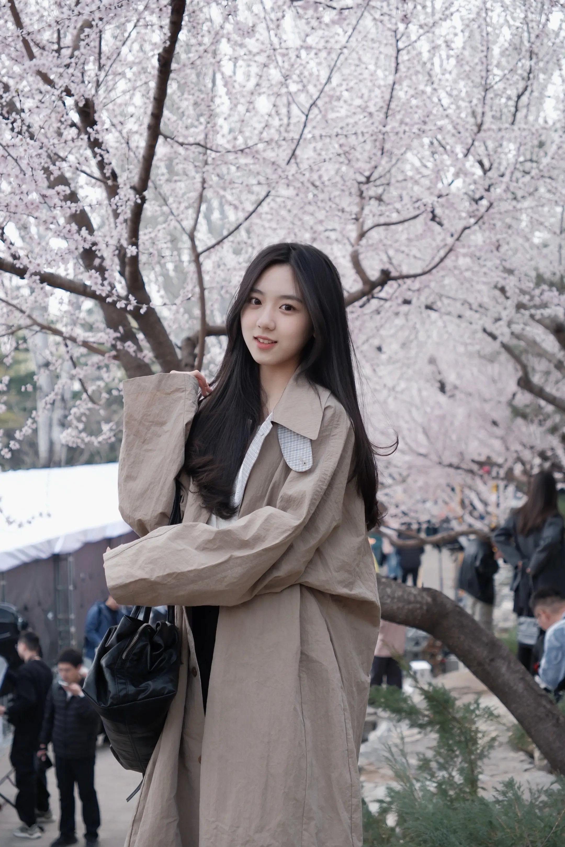 仿佛你只须静静看我一眼🌸。