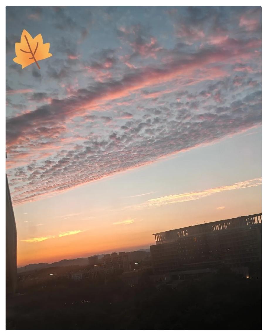 大家发现了吗？今年的天气太古怪了这都马上6月中旬了，可是早晚还要穿厚外套