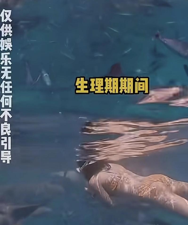 前段时间有一女子去马尔代夫旅游，她在水下和护士鲨鱼拍照时候犯了很多禁忌。她为了能