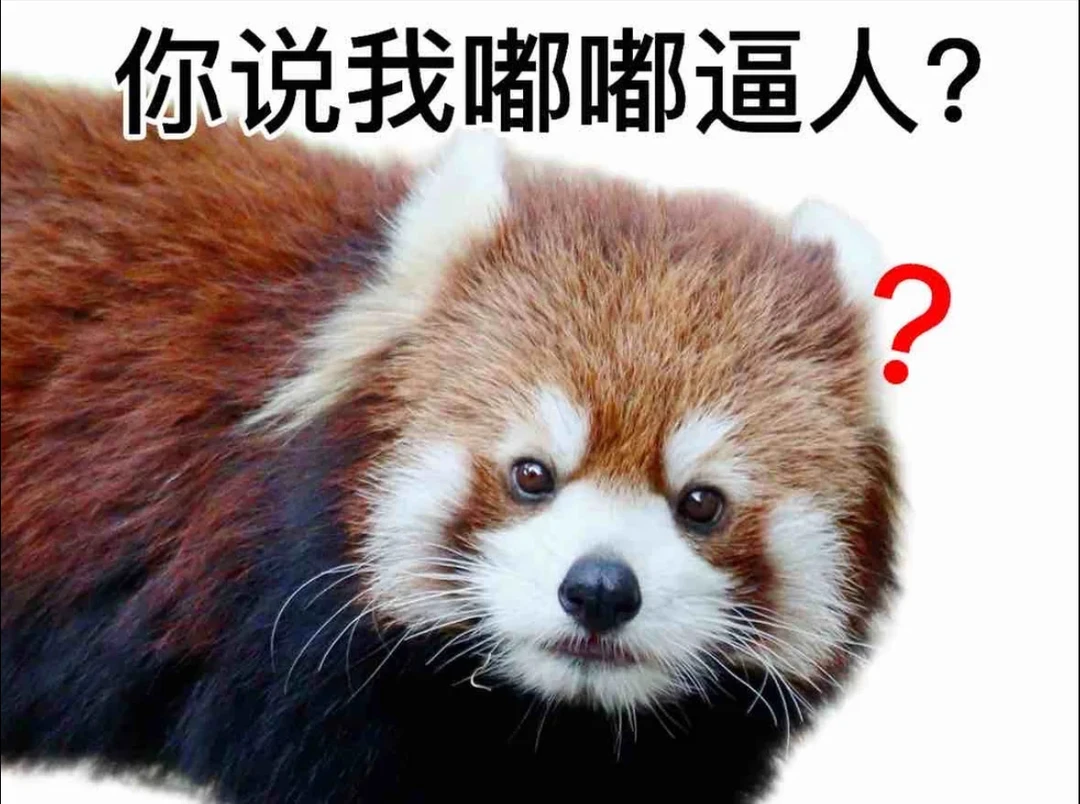 搓了个表情包