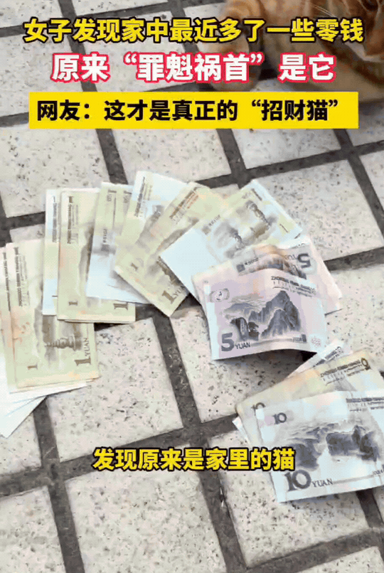 万万没想到！四川，女子发现最近家里总是出现不同面额的纸币，开始以为是自己掉的。连