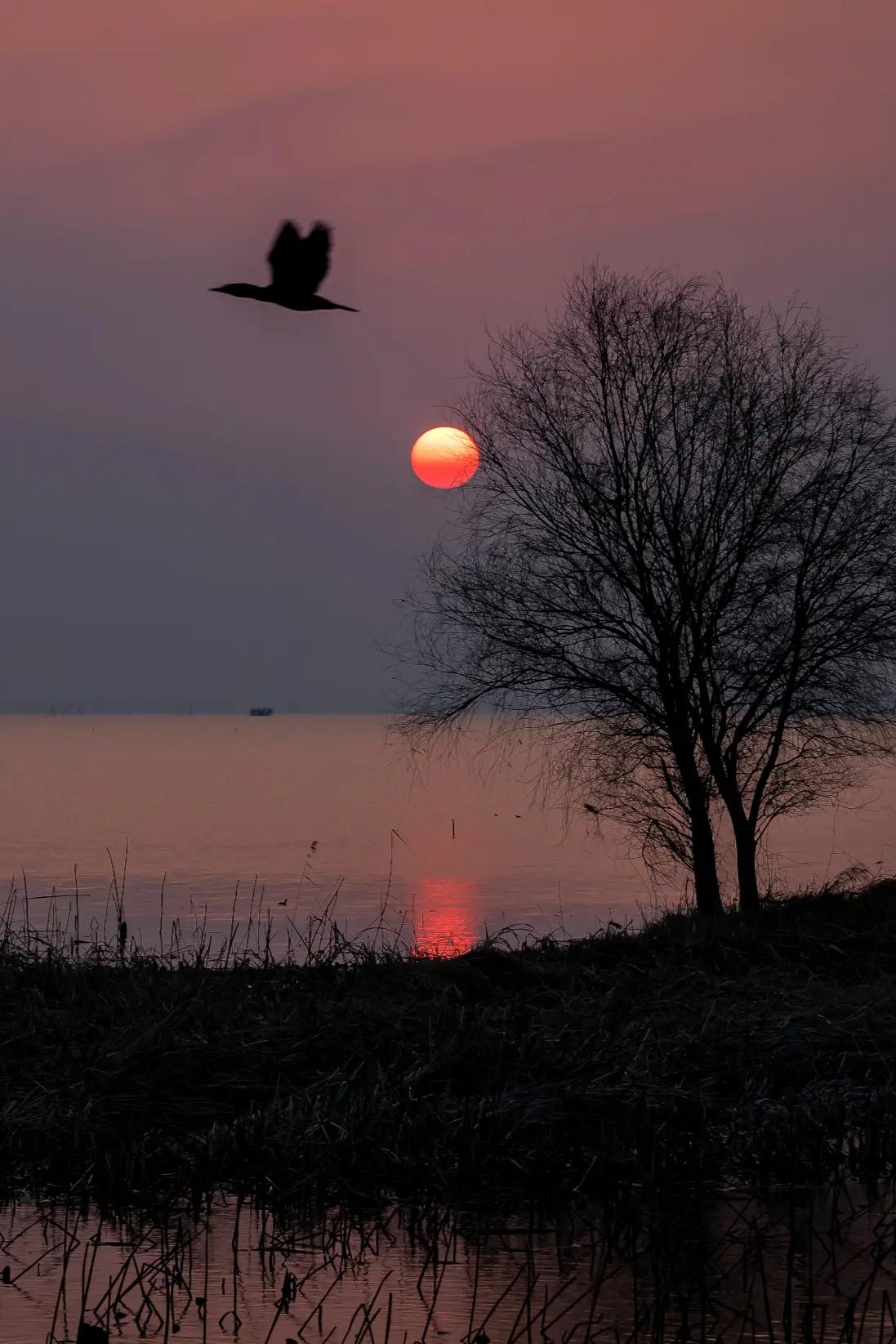 4月17日，右腿残疾、拄着双拐的退役军人周先生，在湖南省退役军人事务厅办事时突然