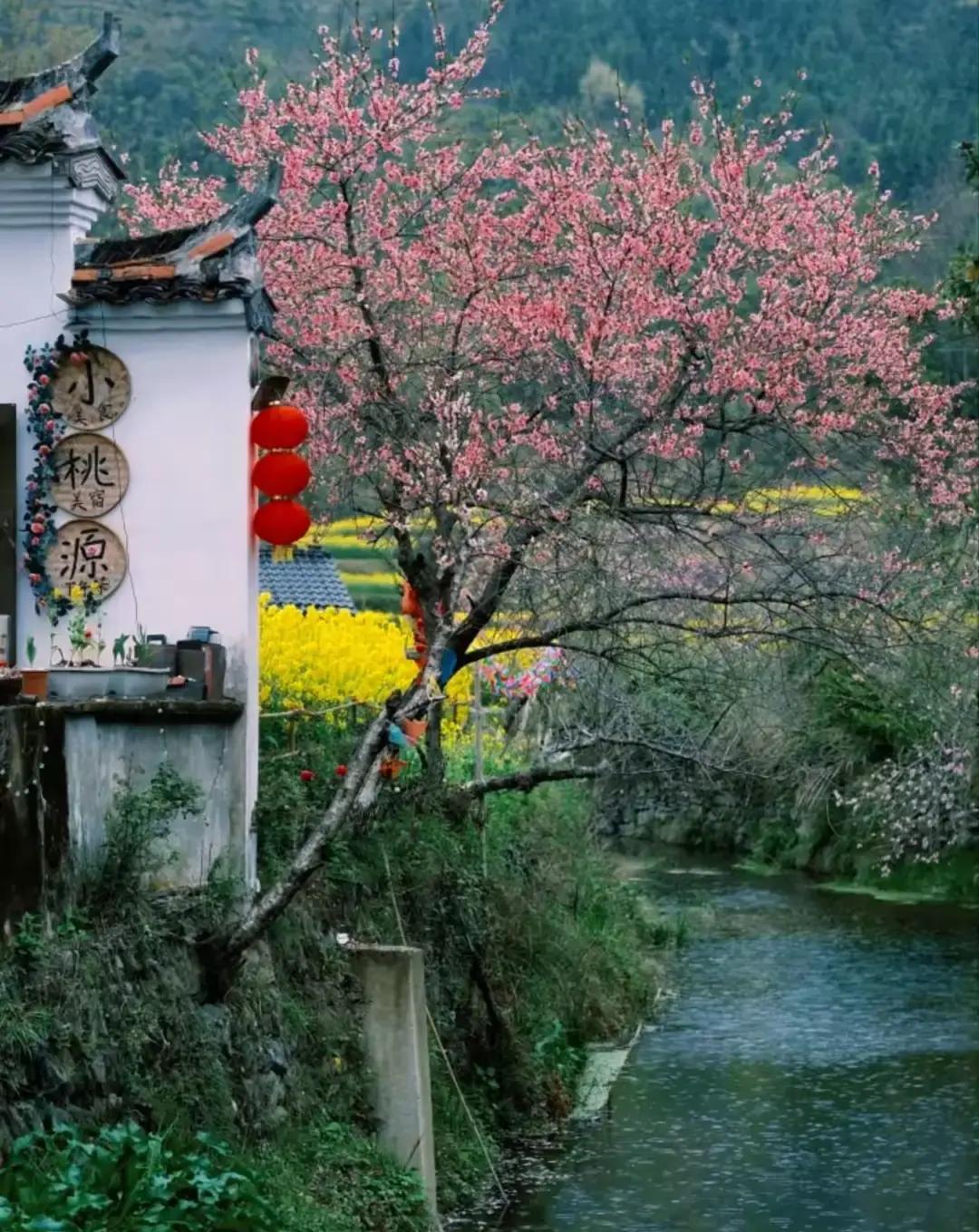 昨天在电梯里碰到新搬来的邻居，二十出头的小姑娘。我张嘴就想叫美女，硬生生咽回