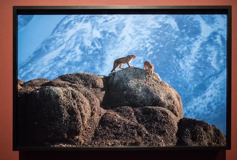 重磅！伊朗发动第10波攻势，王牌导弹出鞘，以色列全境拉响警报！紧急突发！当