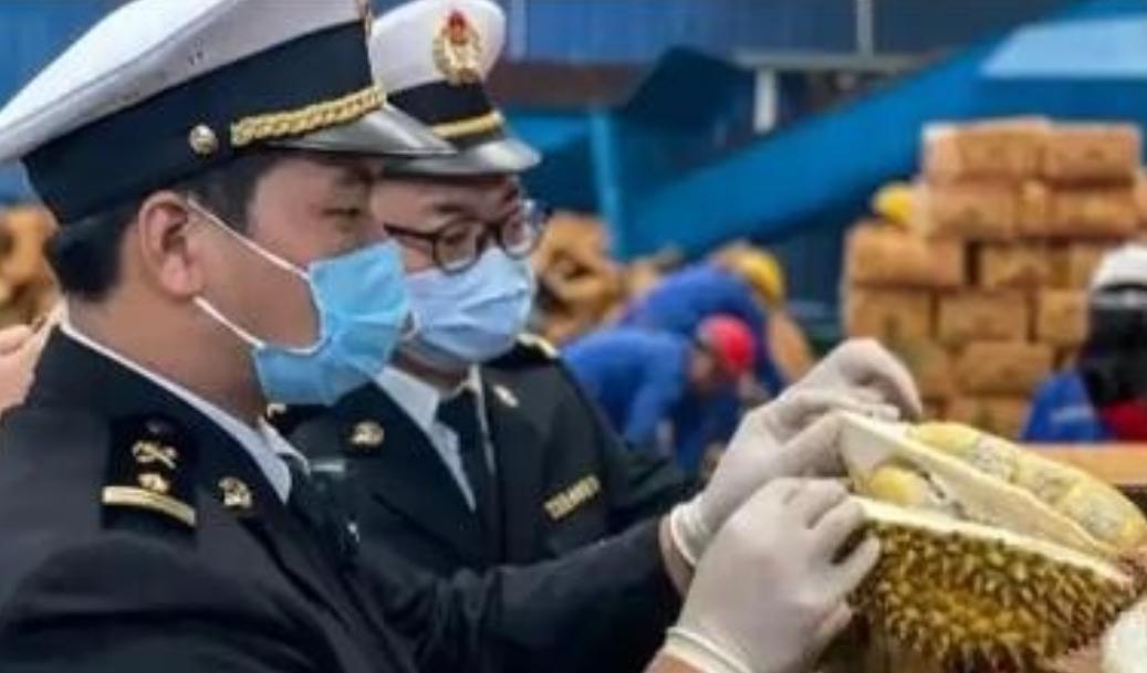 “赚中国人钱还毒害中国人？可谁能料到，泰国榴莲这事越挖越吓人，这泰国榴莲里竟藏着