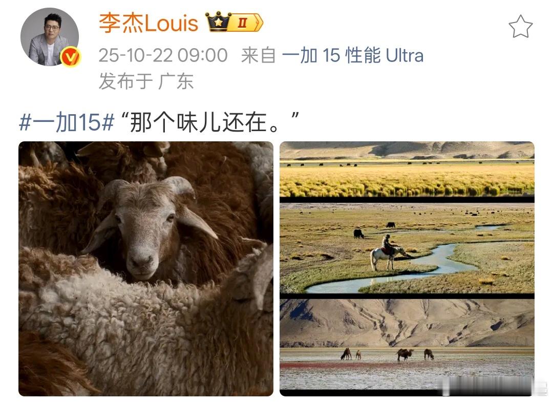 哪个味？必须是哈苏味，一加15虽然没有哈苏联名，但是哈苏的气质和影调还在，除了l