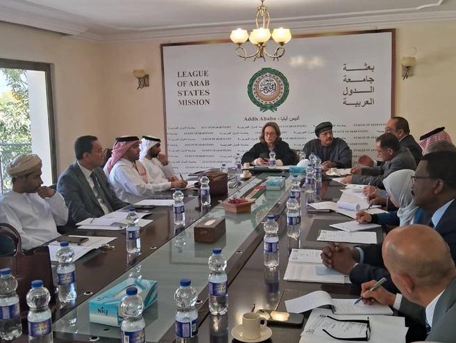 中国撑腰效果立竿见影，索马里终止与阿联酋所有协议，丝毫不惧以色列威胁！1月1