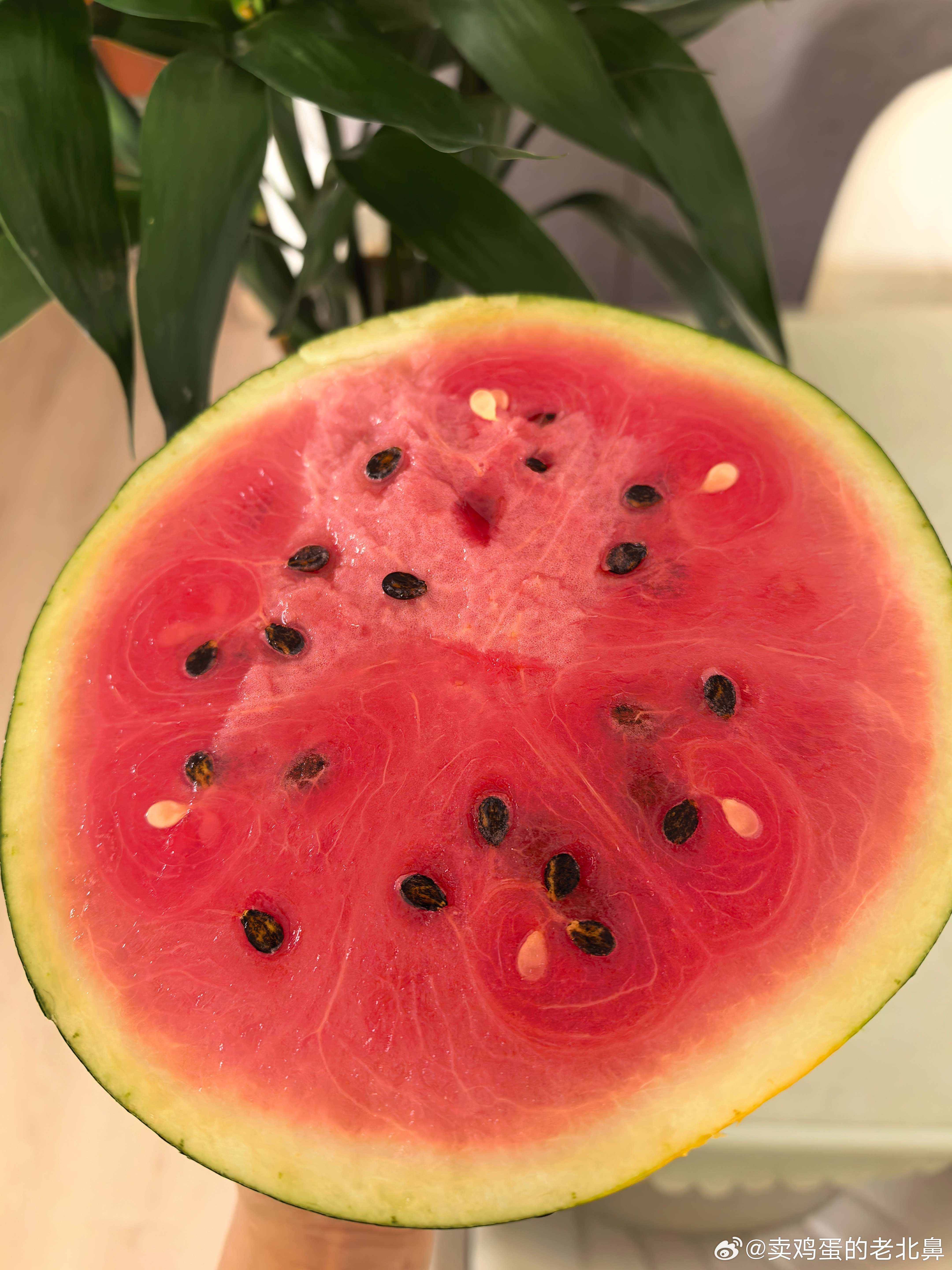出去剪裤边。路边一大爷在卖这个西瓜🍉。1元一斤。看着路过的人都停下来买。我也买
