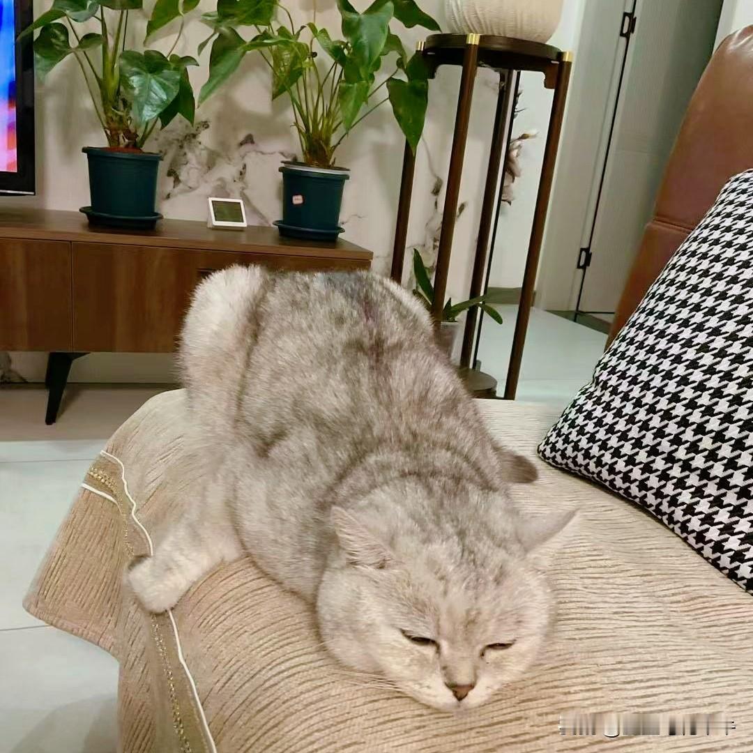 晚上睡觉前是真不能看手机！太容易失眠了！昨晚上手机看到11点，放下手机，闭眼睡觉