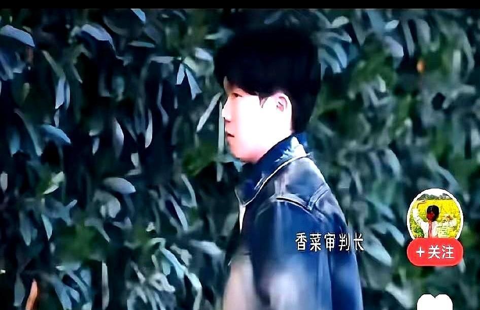 孙颖莎吃个冰淇淋，国家队真给开了个口子。不是纵容，是聪明了。每天十五分钟，甜