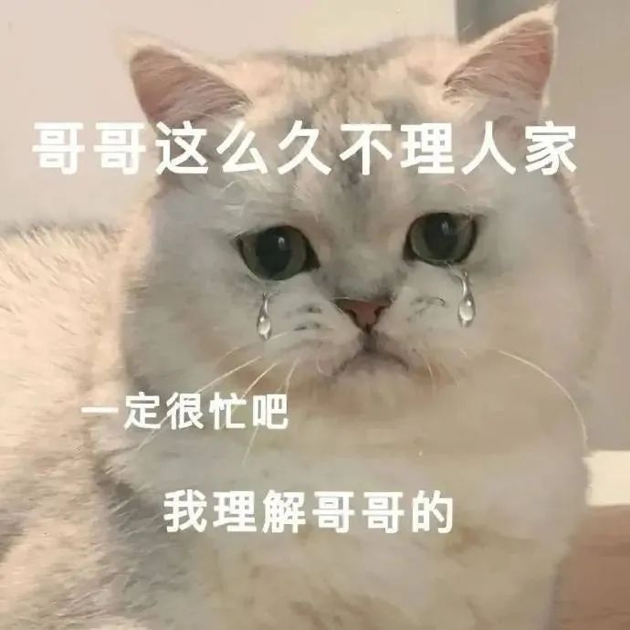 表情包大爆炸，快乐无极限！更新不易，拿图点赞[比心]更多表情包请看主页[比心]​
