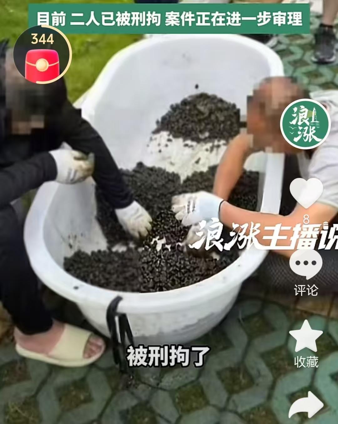 捞螺蛳也犯法！浙江两个男子半夜闲着无聊，打算下水捞螺蛳，以为捞点螺蛳顶多算违规，