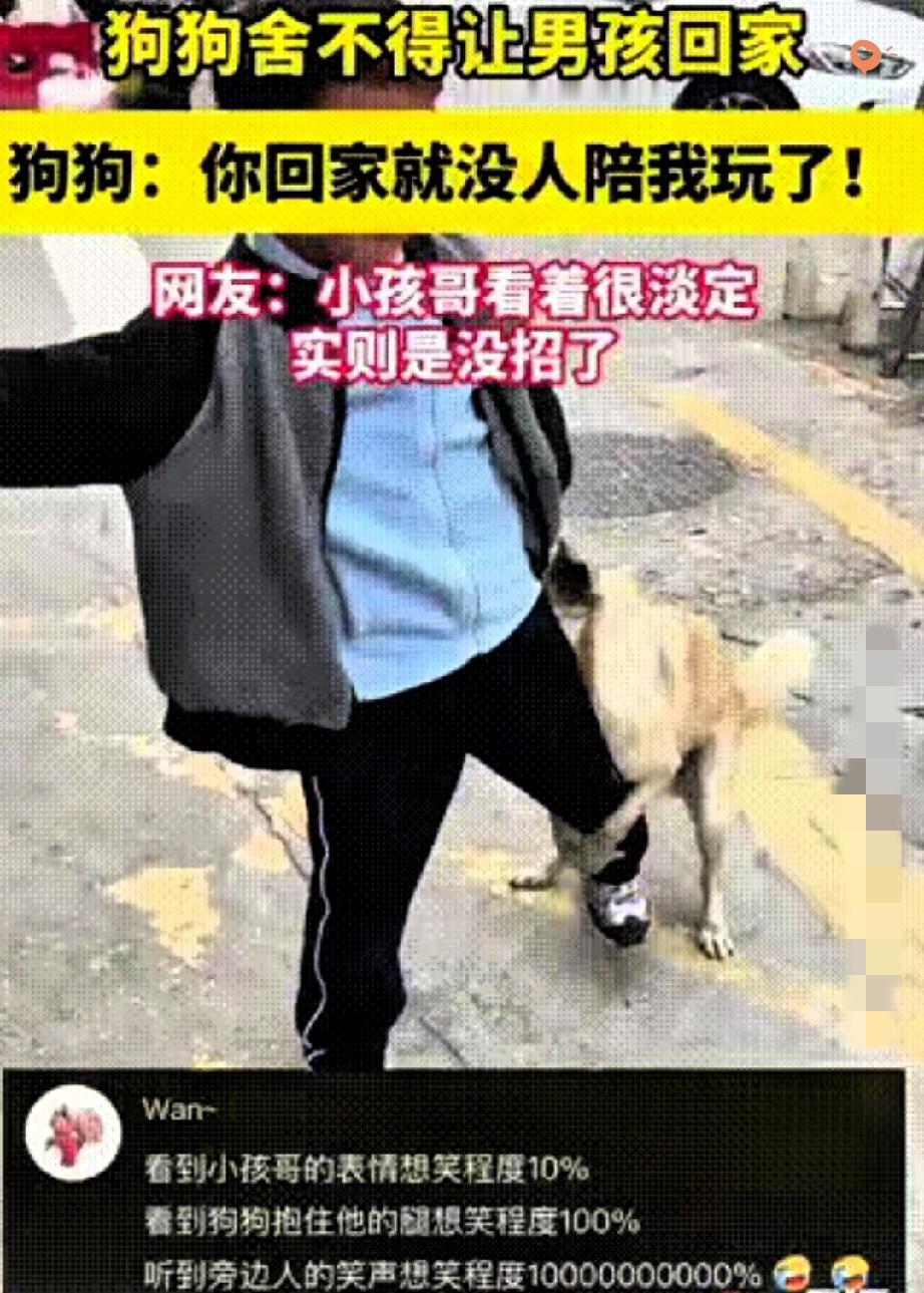 笑着笑着就鼻酸！福建男孩要回家，小狗竟死死抱住他的腿不肯放，那股执拗的小模样