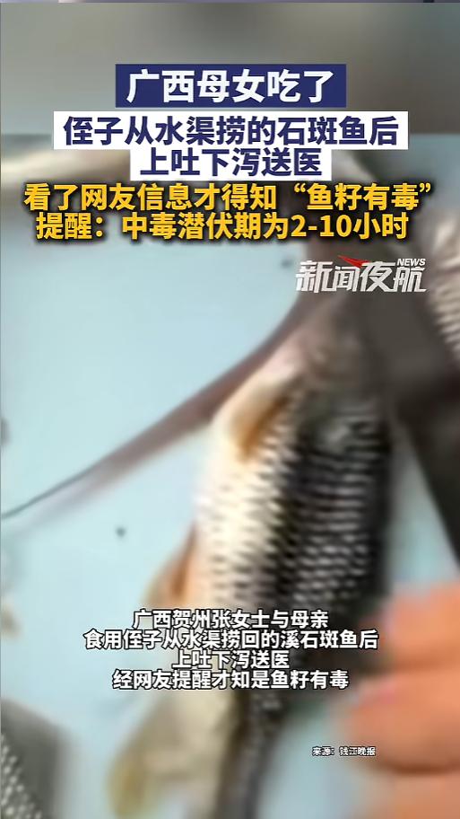 “鱼籽有毒？”5月17日报道，广西贺州，一对母女吃了侄子从水渠里捞上来的溪石斑鱼