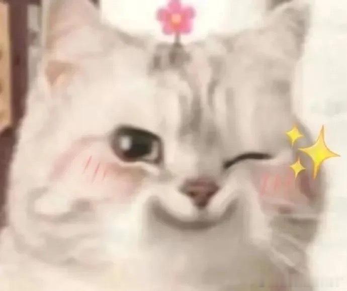 以为吃播至少得有吃的本想蹲个美食暴击，结果主播对着镜头“啊呜”空嚼，还夸“这太