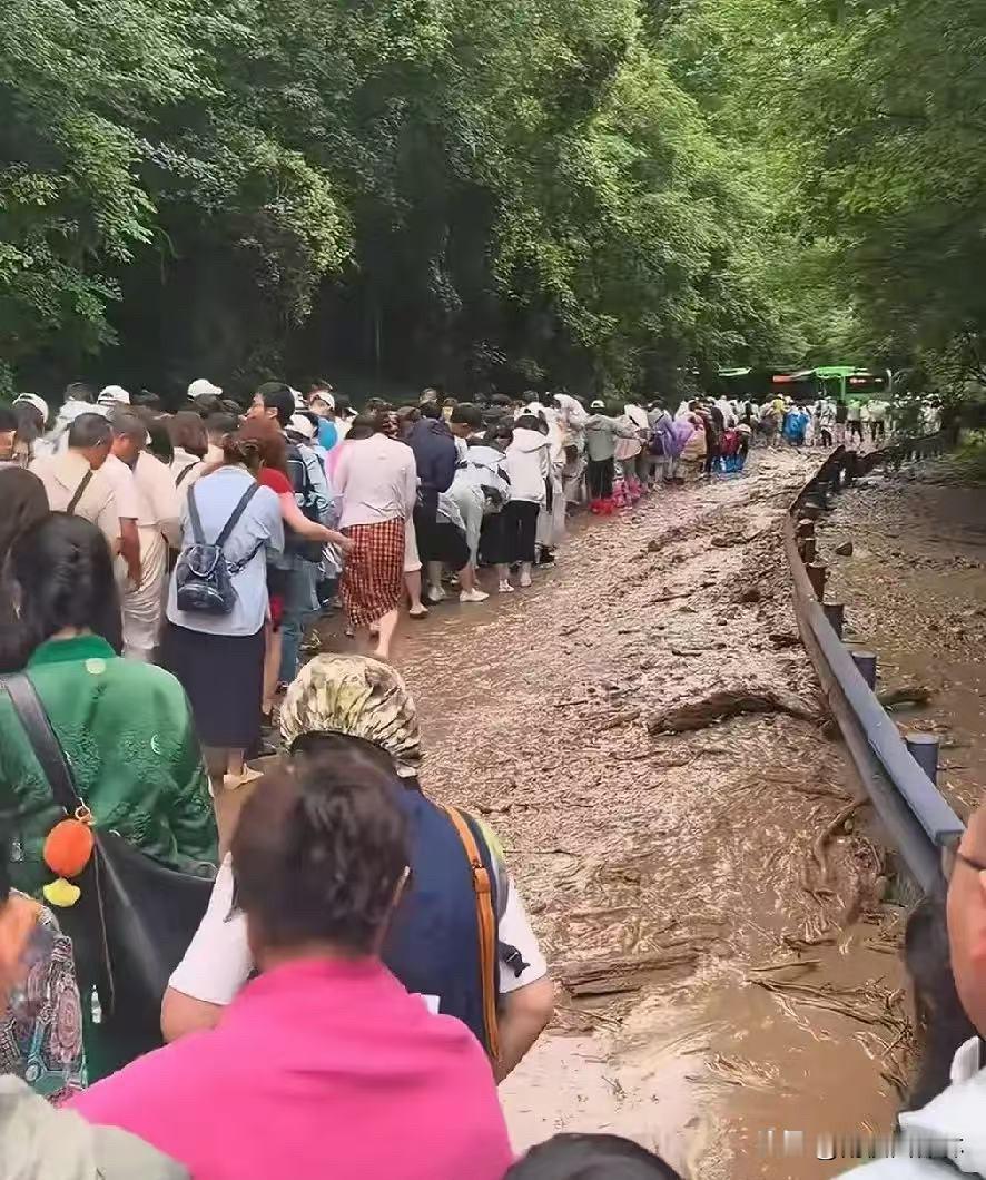 九寨沟这事儿，其实早有预兆。每年七八月，川西的峡谷里都在上演同一出戏：游客