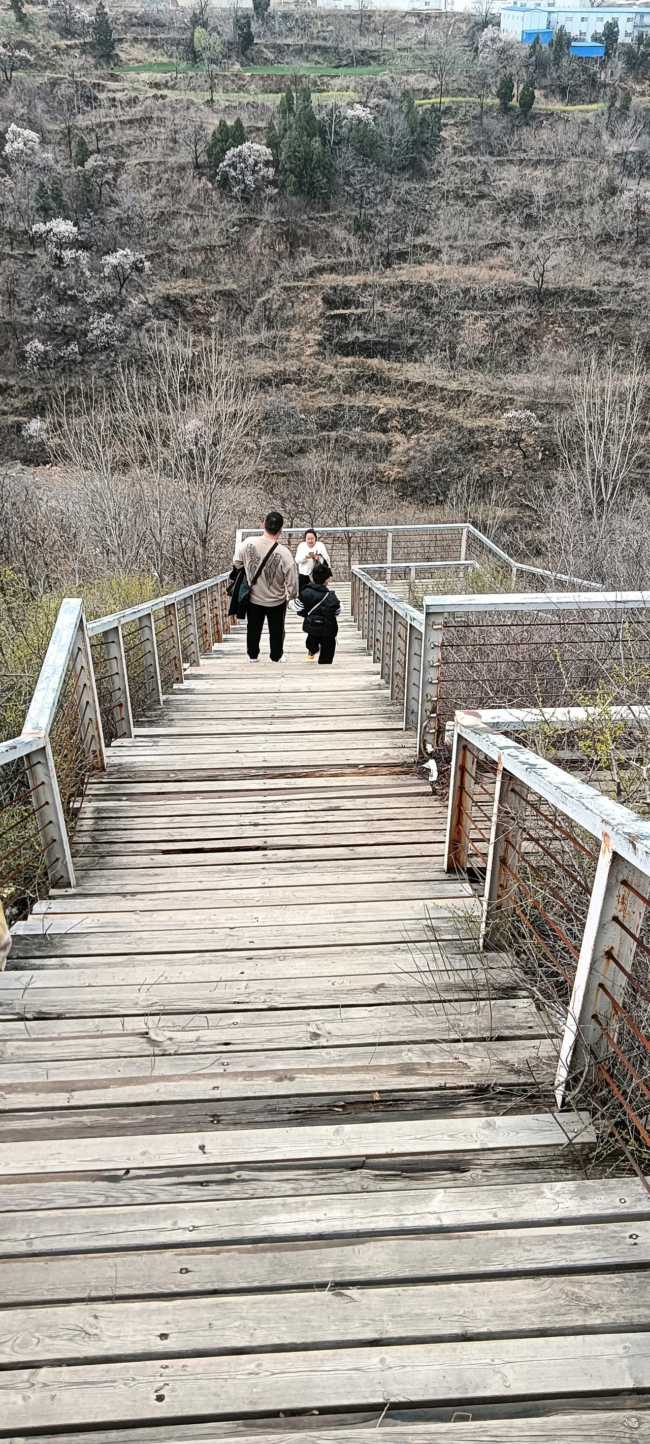 带娃爬山的春日碎片✨周末拽着娃往山里钻，踩在这吱呀作响的木栈道上，风里都裹