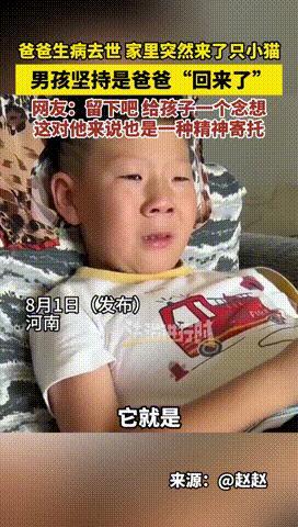 “科学无法解释！”河南，一父亲因病去世后，儿子晚上做梦，竟然梦见爸爸变成了一只猫