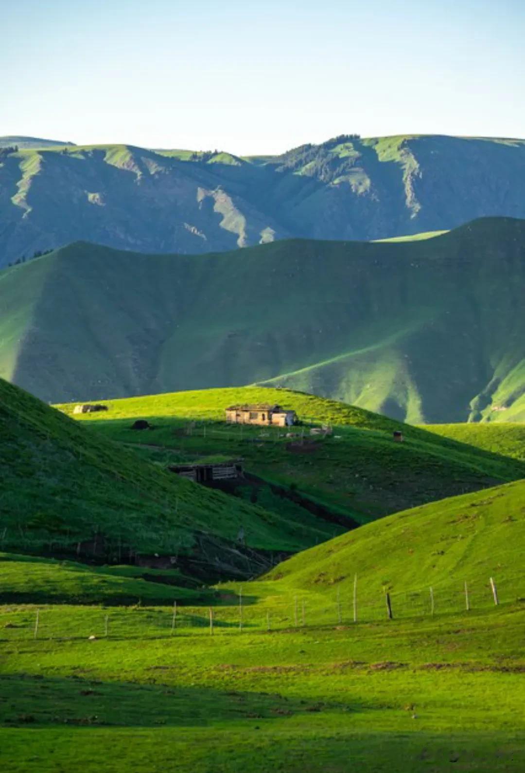 莫言说：“如果你没实力，对别人又好，还爱帮助别人，那么大多数人，绝对不把你当回事