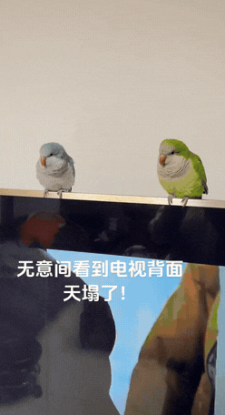 无意中见到电视背面，天塌了！！！