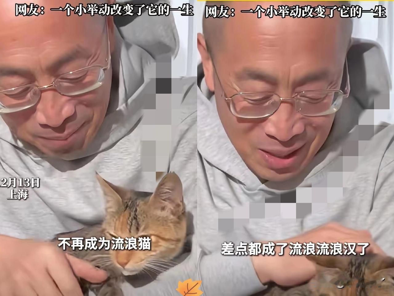 这才是高质量男性！上海交大医学院的教授捡到了一只流浪猫，和太太软磨硬泡一整晚求
