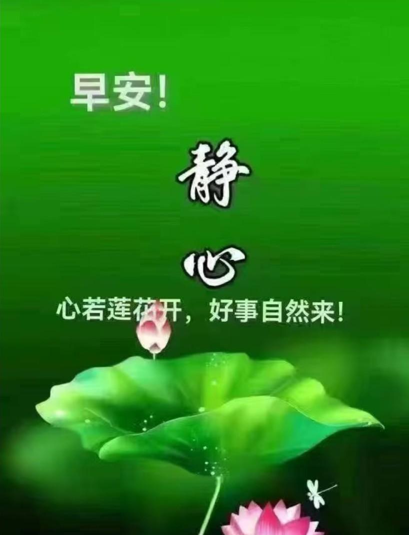 [玫瑰]早上好[玫瑰]清晨的鸟鸣送来；新一天的祝福，愿健康如影随形，让你