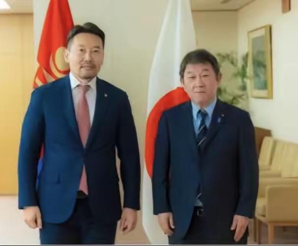 蒙古国正在渐行渐远。据日本《朝日新闻》12月11日报道，蒙古国副总理冈呼雅格访