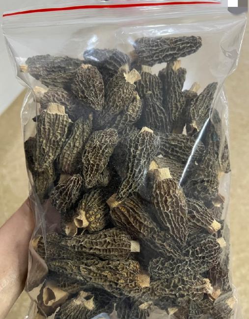 今天早上邻居家的下水道堵了，叫我过去帮忙疏通，忙了两个多小时才通好。邻居既没留