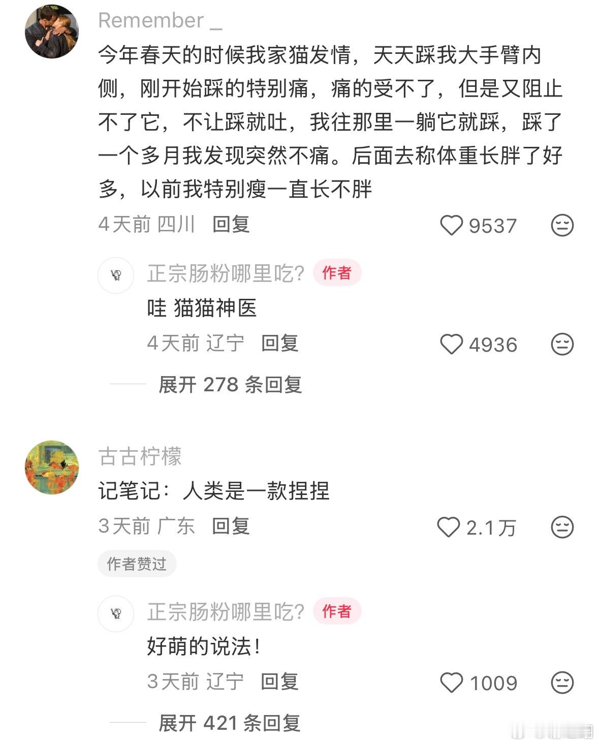 人类是一款捏捏。​​​