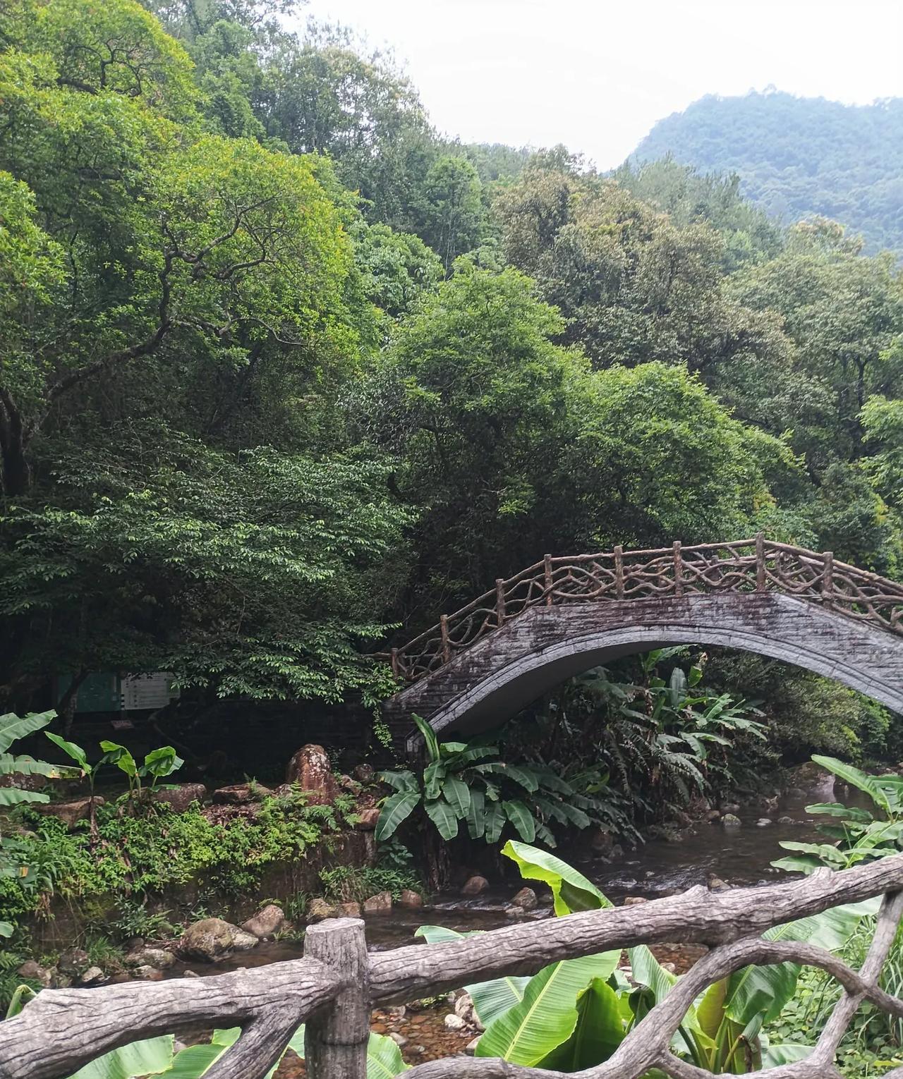 内心博弈的三大生肖生肖蛇、鸡、鼠被认为是内心博弈比较厉害的生肖。就说生肖蛇吧，